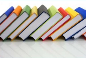 Navigating Public Criticism and Preserving Author Reputation