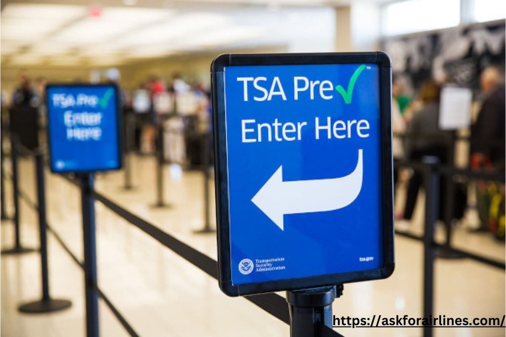 TSA Pre Check ​