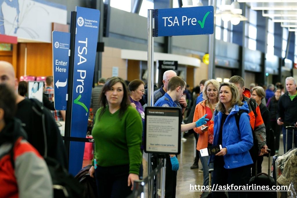 TSA Pre Check ​