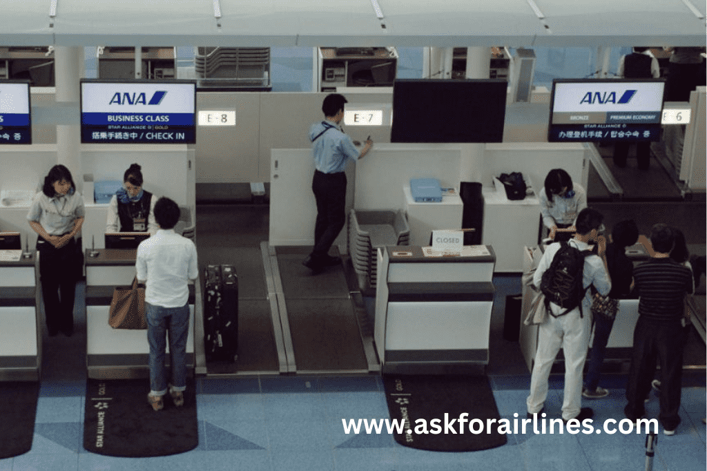 Check-in and Boarding Procedures at jfk airport