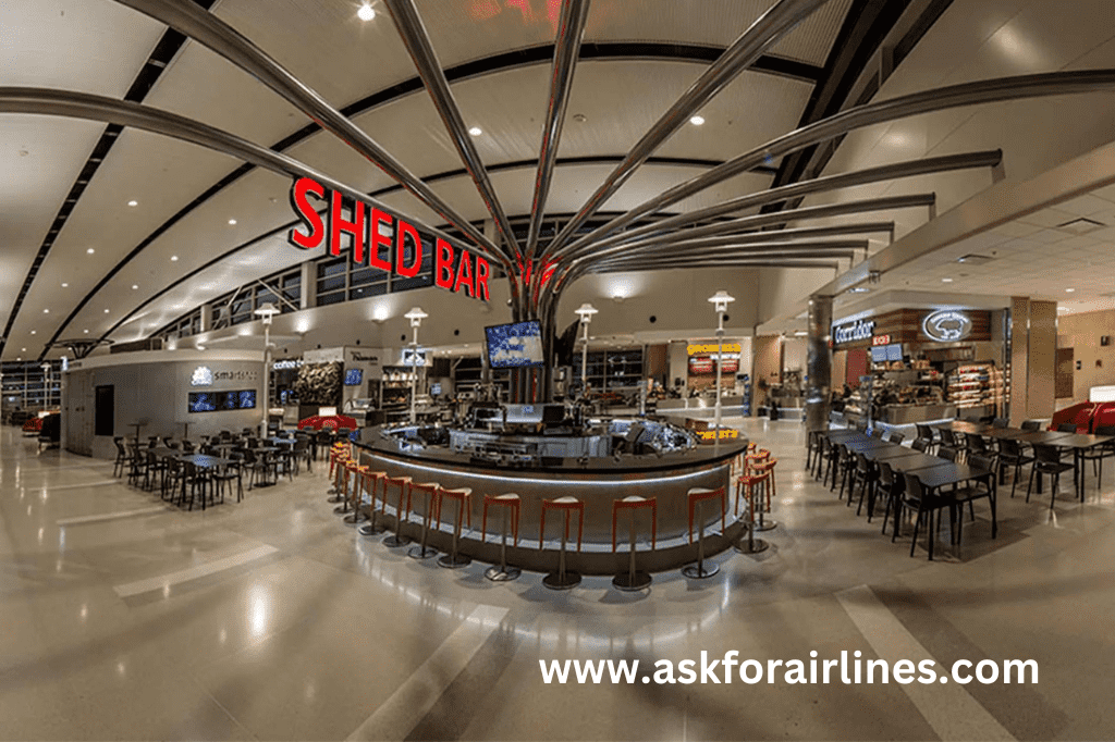 Dining Options at DTW airport