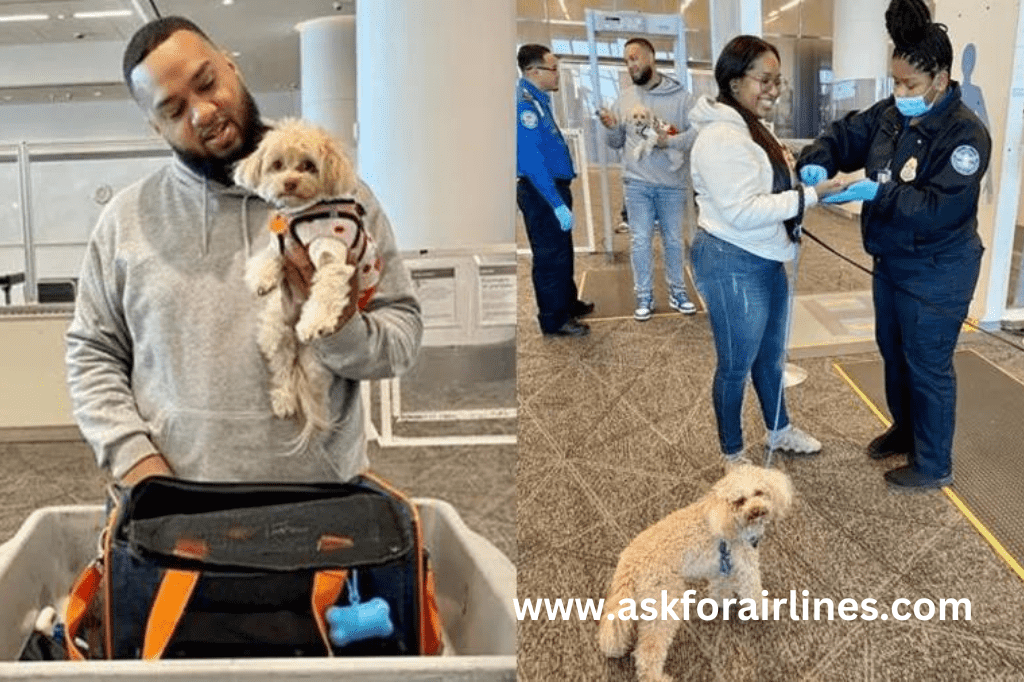 Travel with Pets ORD airport