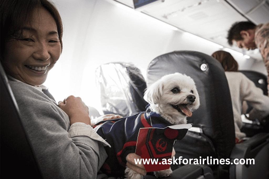 Traveling with Pets in qatar airways