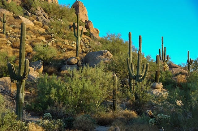 Scottsdale, Arizona