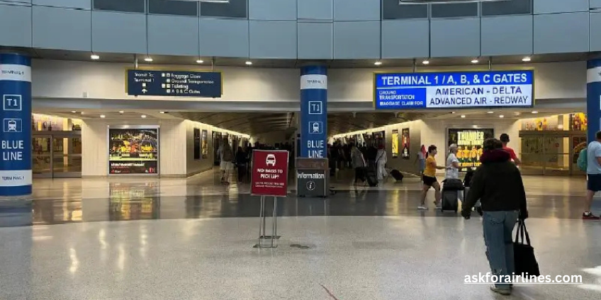 British Airways Phone Number Paradise