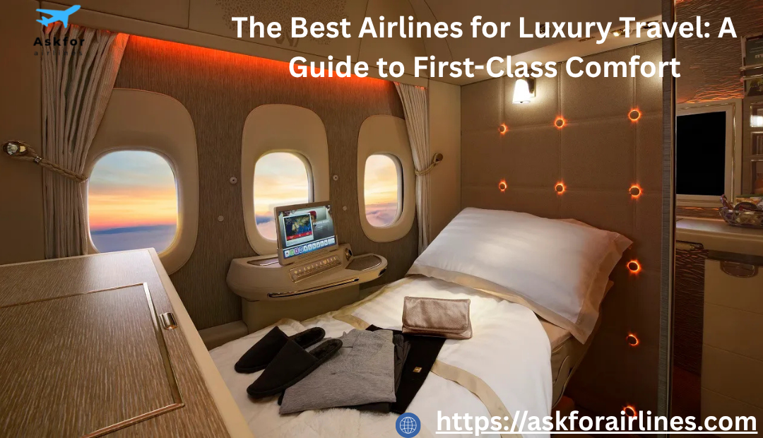 The Best Airlines for Luxury Travel A Guide to First-Class Comfort
