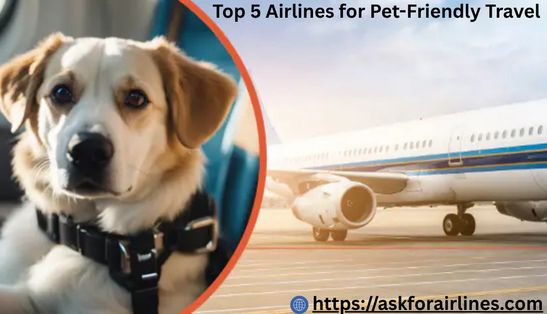 Top 5 Airlines for Pet-Friendly Travel
