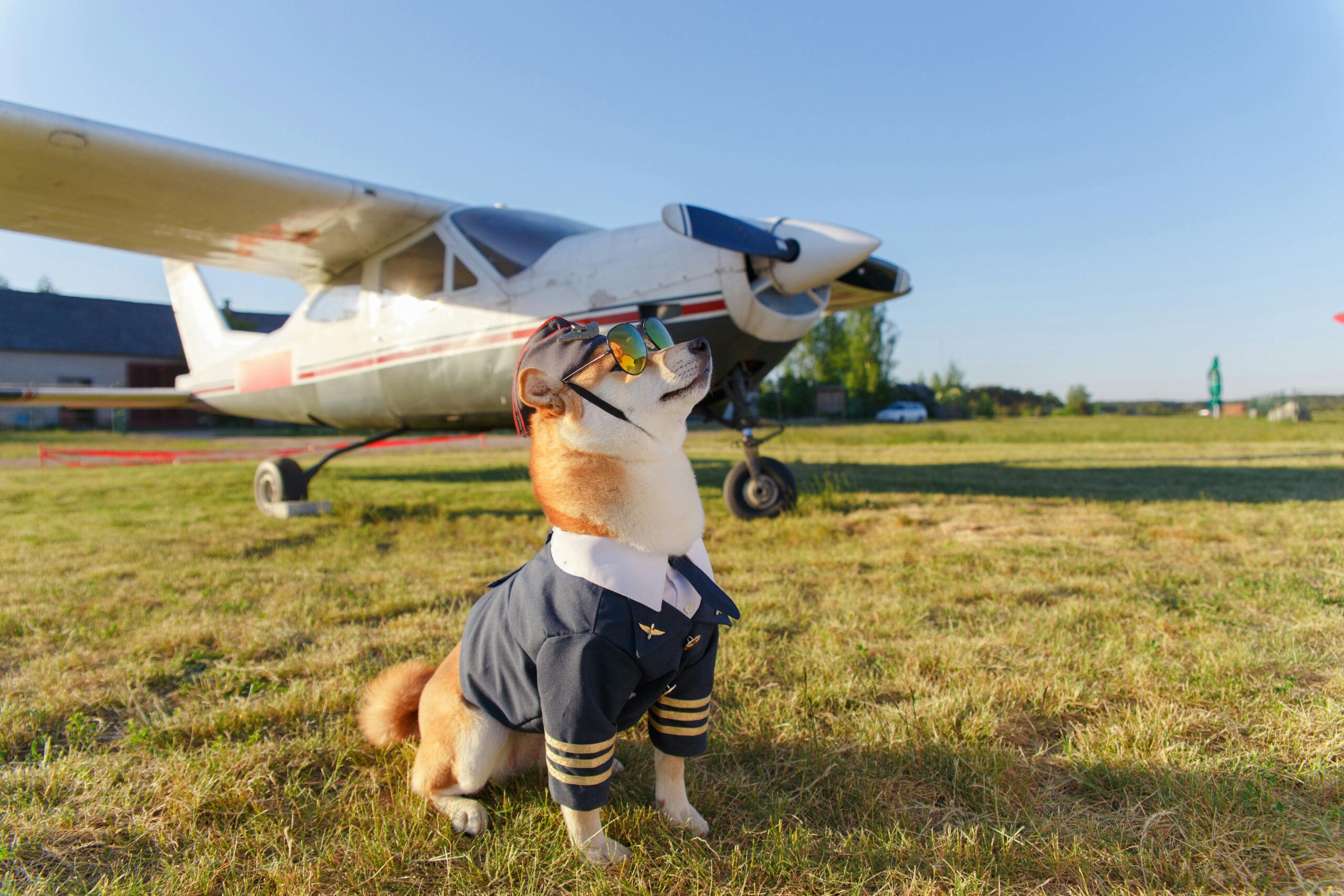 business-class-air-tickets-discount