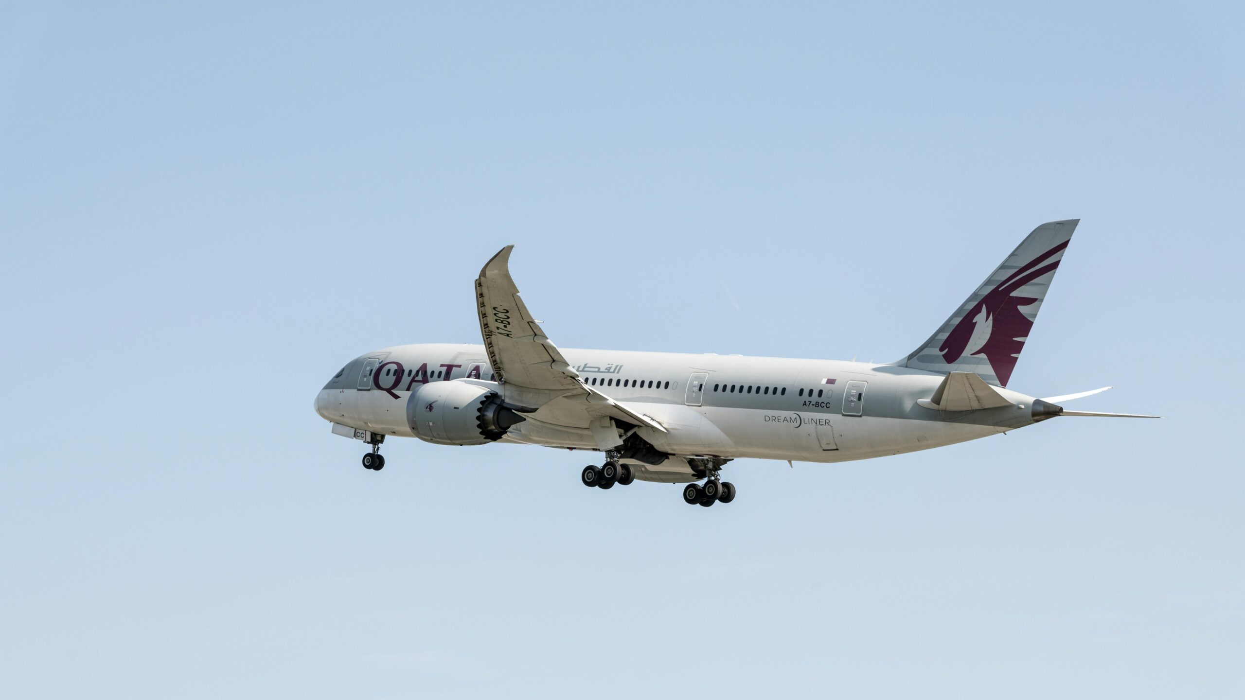 business-flight-sale