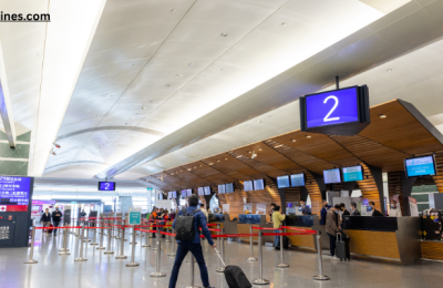 American Airlines Phoenix Sky Harbor International Airport - PHX Terminal